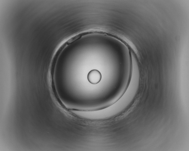 X0000111610936200907171221