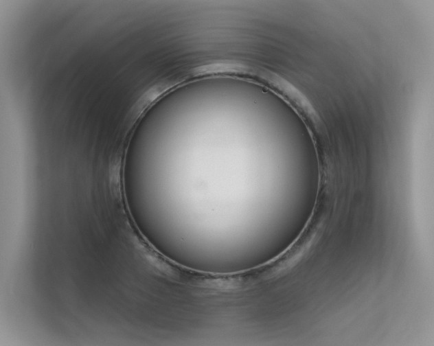 X0000111610937200907171221