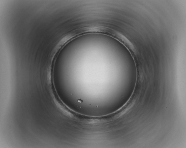 X0000111610938200907171221
