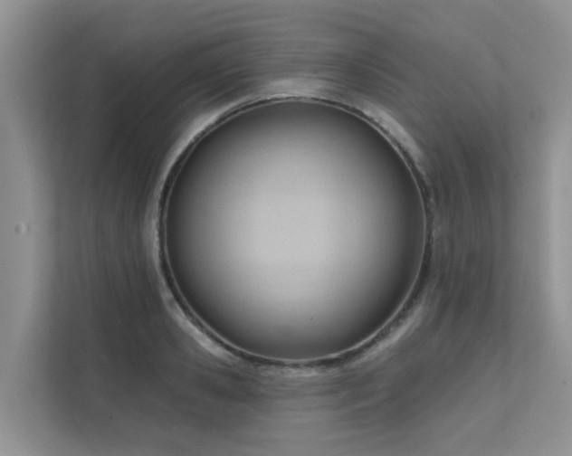 X0000111610941200907171221