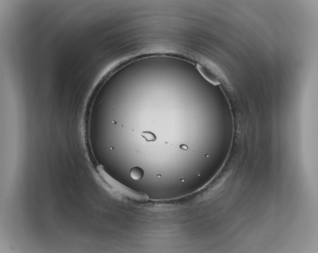 X0000111610942200907171221