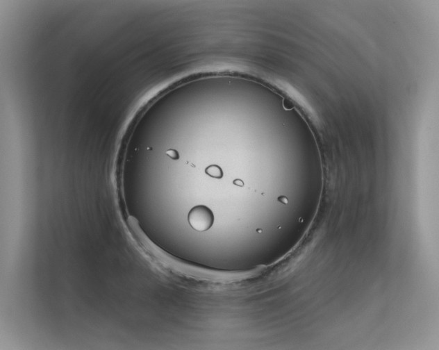 X0000111610943200907171221