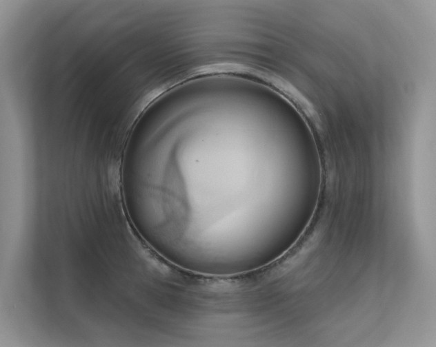 X0000111610945200907171221