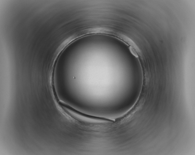 X0000111610946200907171221