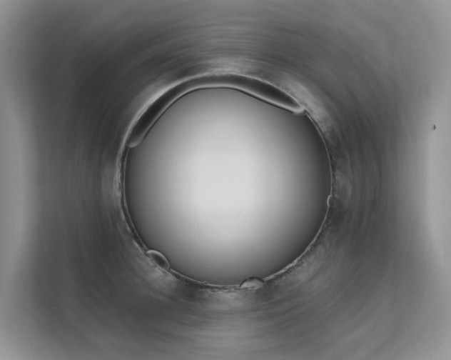 X0000111610948200907171221