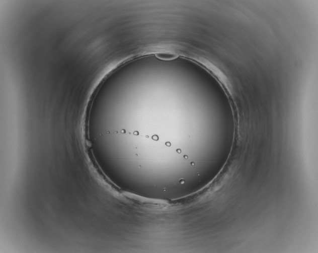 X0000111610949200907171221