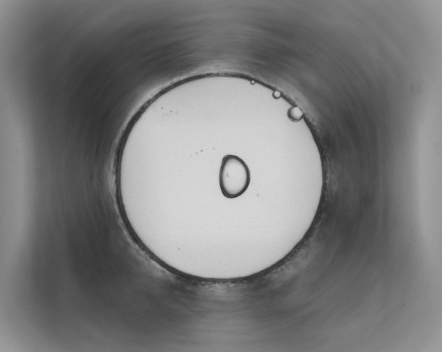 X0000111610950200907171221