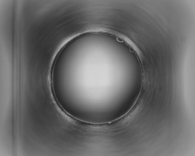 X0000111610951200907171221