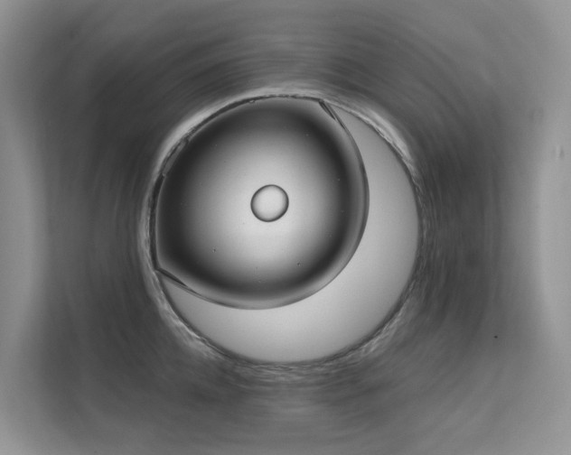 X0000111610952200907171221