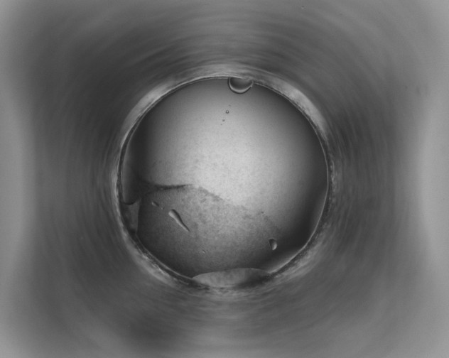X0000111610954200907171221