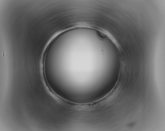 X0000111610955200907171221