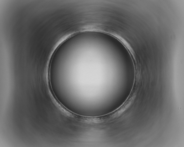X0000111610957200907171221