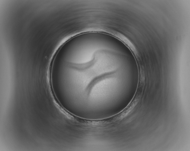 X0000111610958200907171221