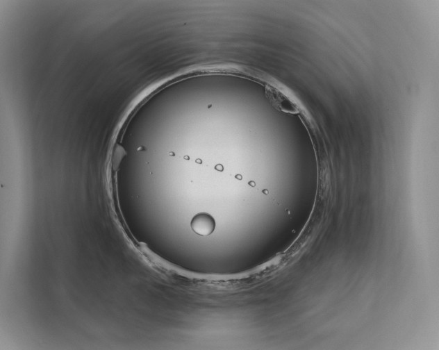 X0000111610959200907171221
