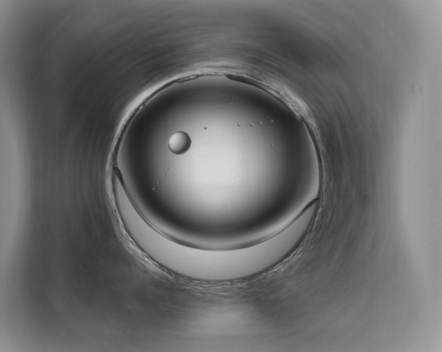 X0000111610960200907171221
