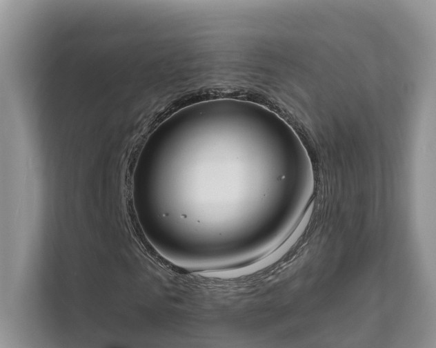 X0000111610961200907171221