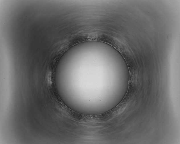 X0000111610962200907171221