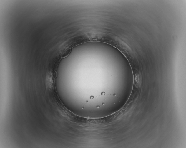 X0000111610963200907171221