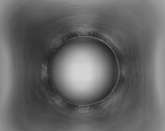 X0000111610964200907171221