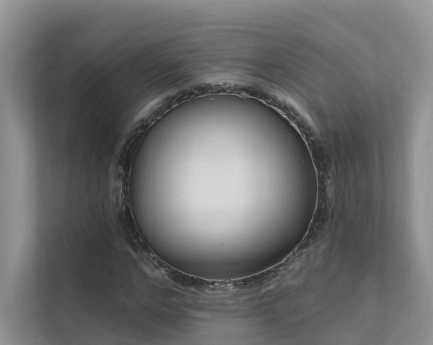 X0000111610968200907171221