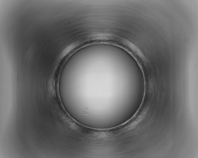 X0000111610970200907171221