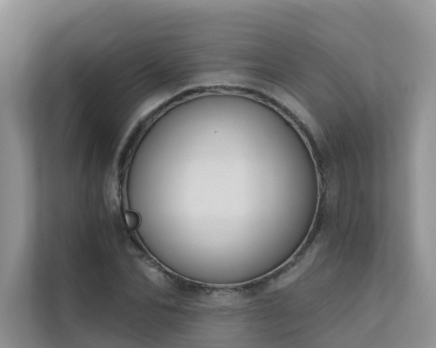 X0000111610974200907171220