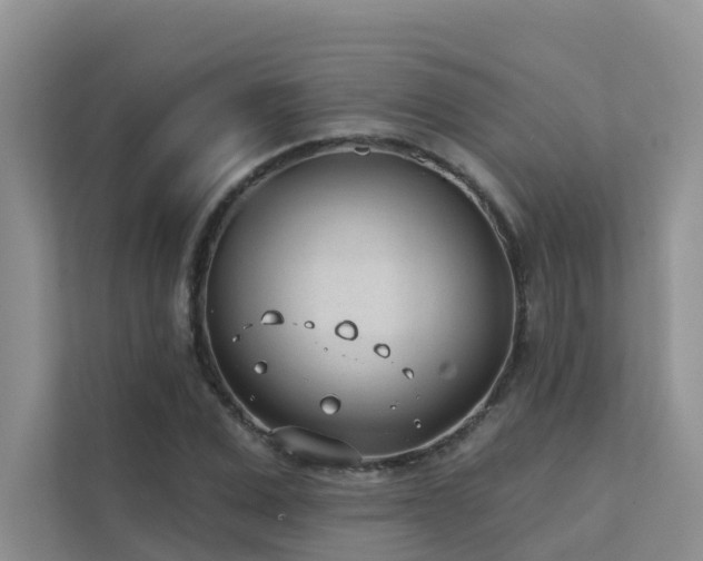 X0000111610975200907171220