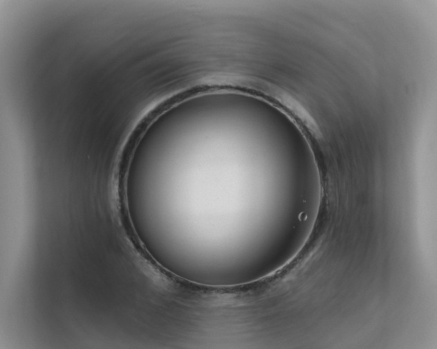 X0000111610976200907171220