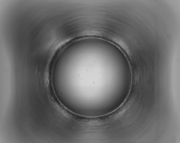 X0000111610979200907171220