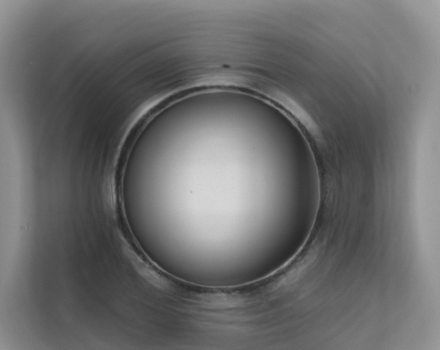X0000111610980200907171220