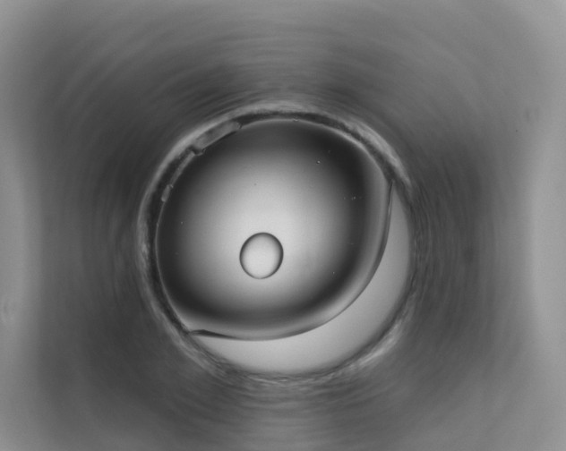 X0000111610981200907171220