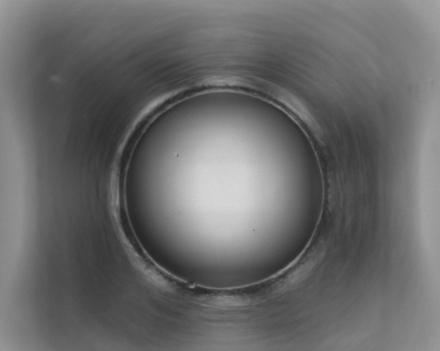 X0000111610984200907171220