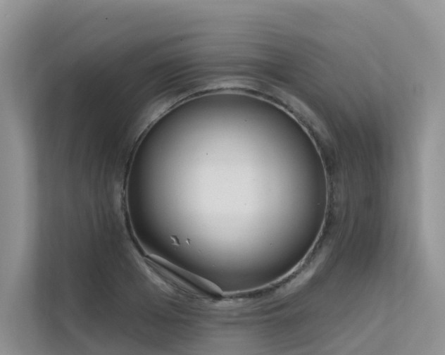 X0000111610985200907171220