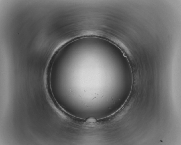 X0000111610991200907171220