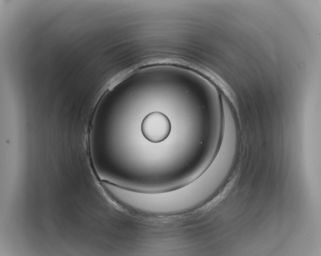 X0000111610993200907171220