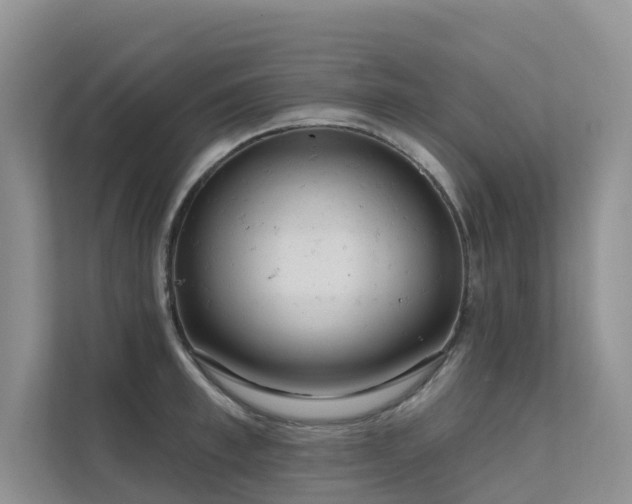 X0000111610997200907171220
