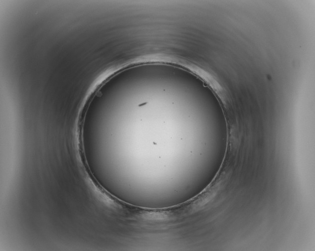 X0000111610998200907171220
