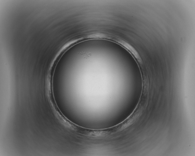 X0000111611000200907171220