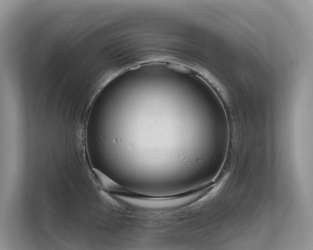 X0000111611001200907171220