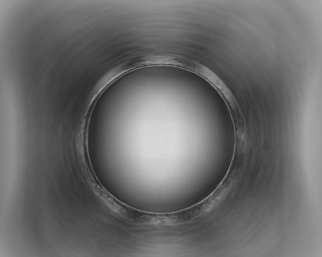 X0000111611002200907171220