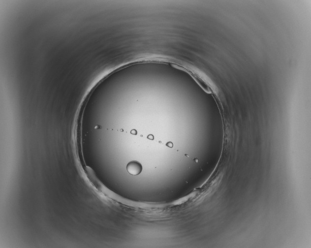 X0000111611007200907171220