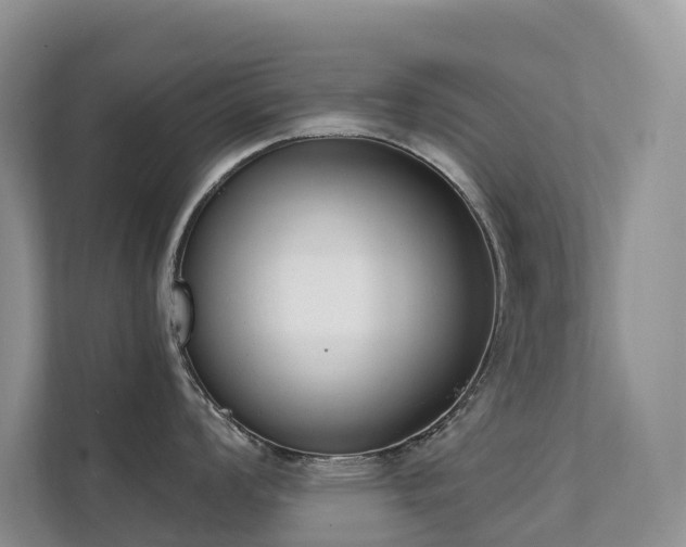 X0000111611008200907171220