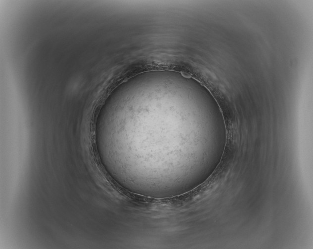 X0000111611009200907171219