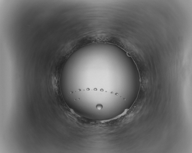 X0000111611010200907171219