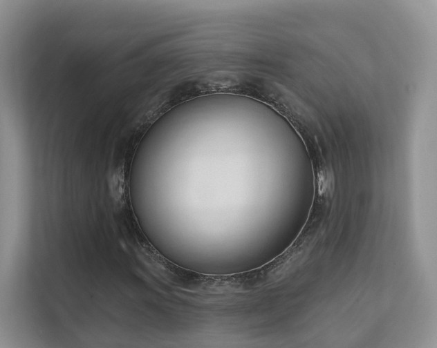 X0000111611011200907171219