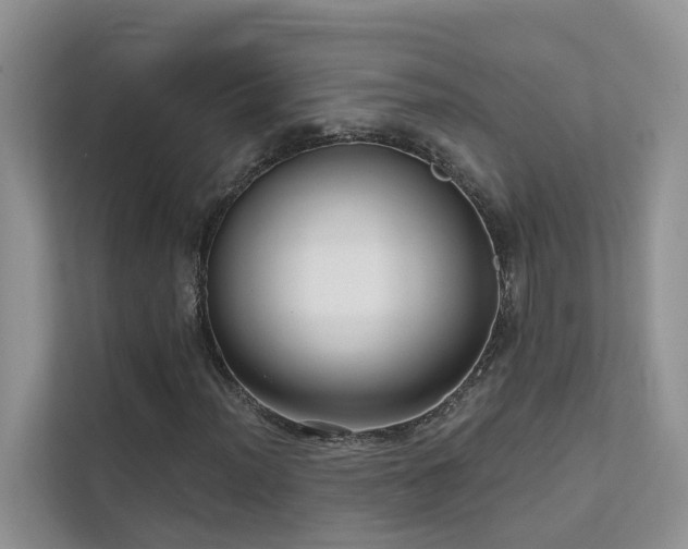 X0000111611012200907171219