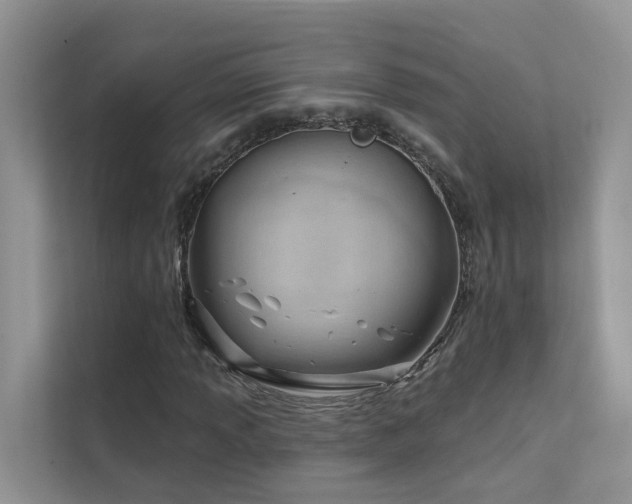 X0000111611013200907171219