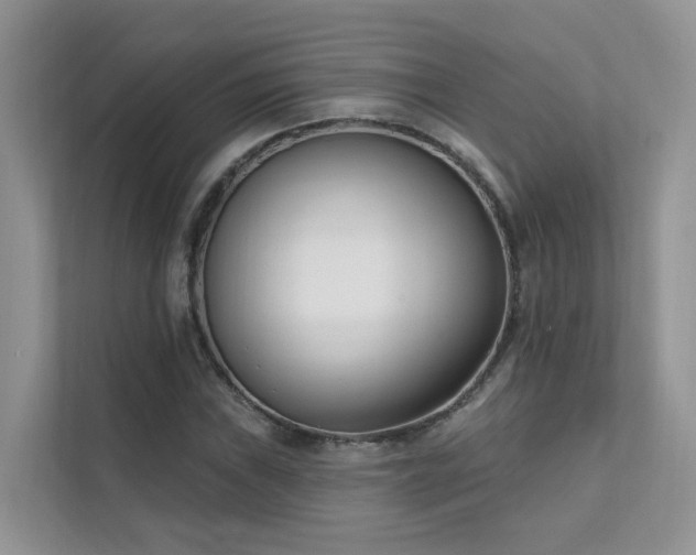 X0000111611019200907171220