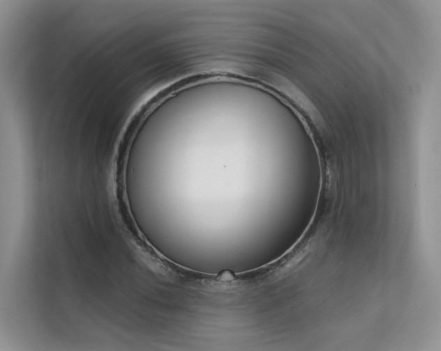 X0000111611020200907171220