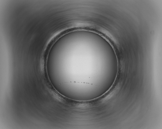 X0000111611021200907171220